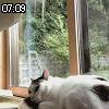 07時05分 ごろ