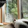 10時15分 ごろ