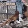 12時20分 ごろ
