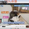 12時15分 ごろ
