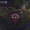 12時25分 ごろ