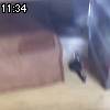 11時30分 ごろ