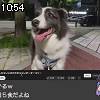 10時50分 ごろ