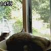14時55分 ごろ