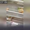 07時05分 ごろ