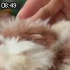 08時45分 ごろ
