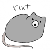 rat,gray,cartoon,animal,cute,drawing