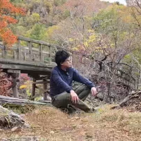 男性,屋外,秋,紅葉,橋,自然,山,座っている